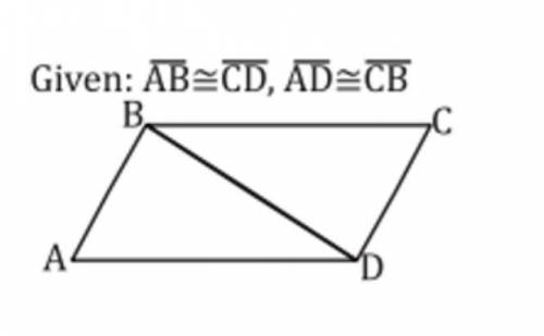 Are the triangles congruent? and why?