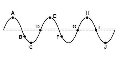 Using the diagram below and the labels attached to it answer the following:

Transverse Wave Anato
