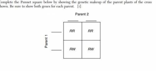 Complete the Punnett square below by showing the genetic makeup of the parent plats of the cross sh