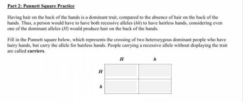 =-=-=-= 20 Points! =-=-=-=

Fill in the Punnett square below, which represents the crossing of two