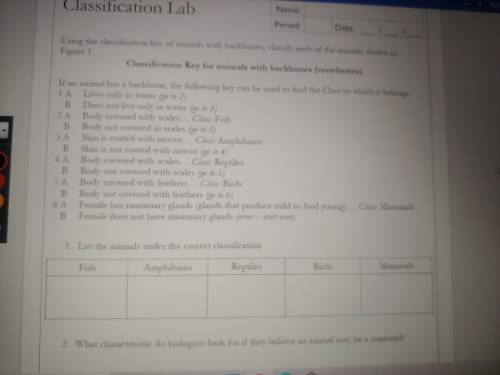 Can you help me out the Classification key for animals with backbones? Can I have a social media so