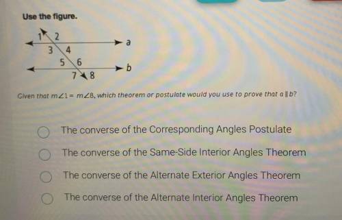 PLEASE HELP Timed exammm