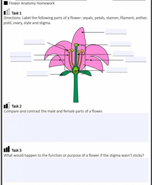 Can someone help me do this ill give brain liest :)