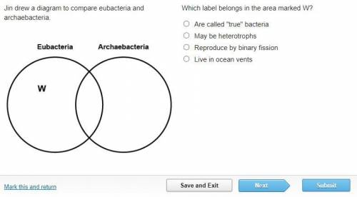 Please hurry

Jin drew a diagram to compare eubacteria and archaebacteria.Which label belongs in t