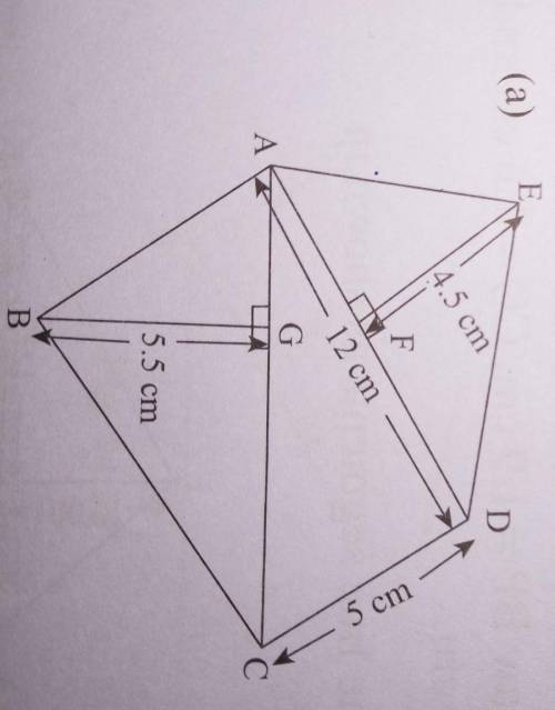 Find the area of polygon