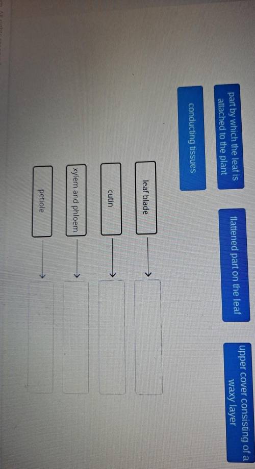 Match the different parts of leaf to its description.

Just in case you can't read the picture wel