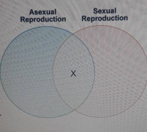 HURRY PLEASE! :)

Which label belongs in the region marked X? 1. Produces offspring2. Involves mei