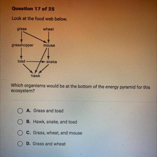 Look at the food web below.

grass
wheat
grasshopper
mouse
toad
snake
hawk
Which organisms would b