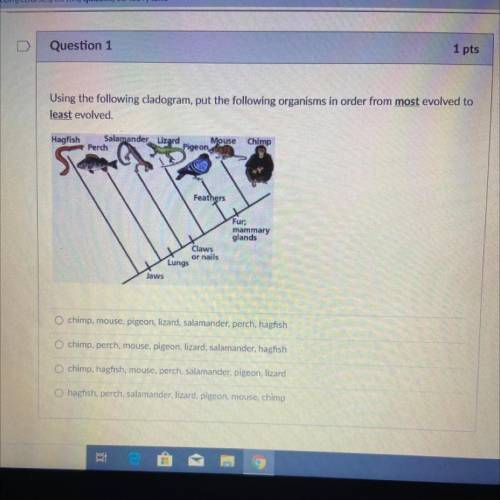 Using the following cladogram, put the following organisms in order from most evolved to

least ev