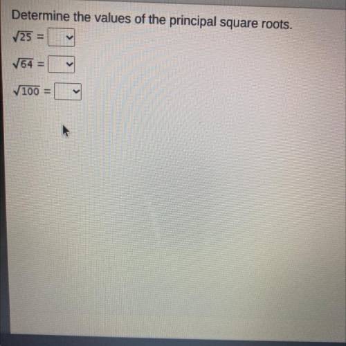 Determine the values of the principal square roots.
25 =
V64 =
100