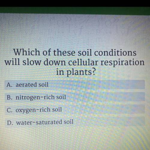 Which of these soil conditions will slow down cellular respiration in plants?