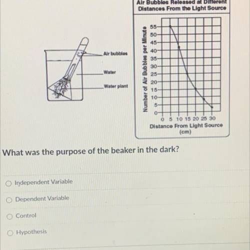 A student prepared two breakers with identical ounces of a water plant as shown below. She placed o