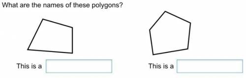 What are the names of these polygons?