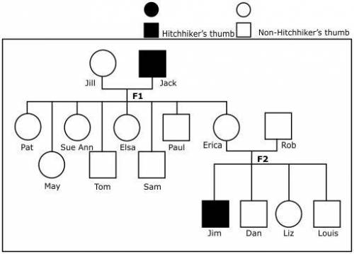The pedigree below shows the inheritance pattern of hitchhiker’s thumb in a multigenerational famil