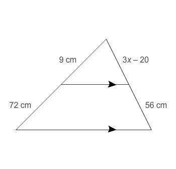 Will give brainiest plus 30 points if you answer correctly

What is the value of x?
Enter your ans