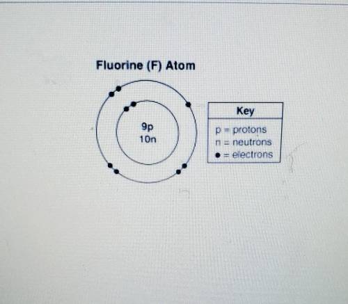 The model represents a fluorine (F) atomwhat is the mass of the atom