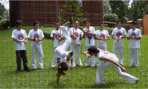 Look at the picture of Capoeira. Come up with some questions about what you want to know about this