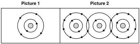 A student took notes by drawing diagrams during science class.

Which of these sets of labels woul