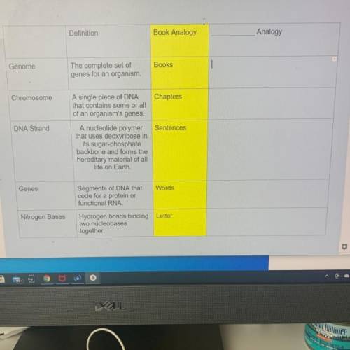 What the analogy of each segment