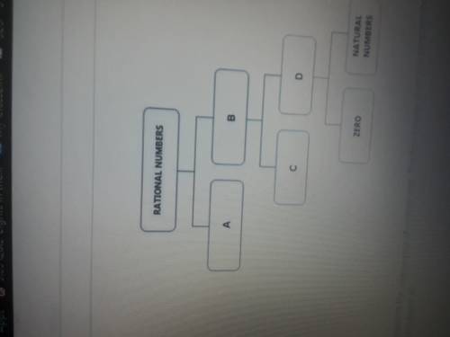 The diagram represents the relationship of number sets. The four choices given will complete the di