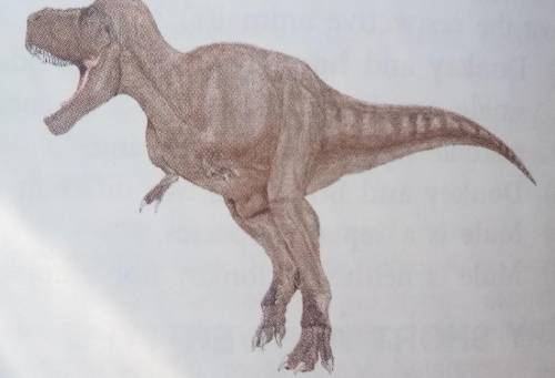 TYRANNOSAURUS

(One of the extinct animals which lived on theEarth about 100,000,000 years ago)Tyr
