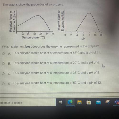 Based on the picture.

Which statement best describes the enzyme represented in the graphs?
O A. T