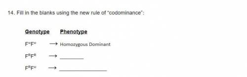 Fill in the blanks using the new rule of codominance.