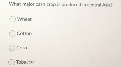 What major cash crop is produced in central Asia?

A) Wheat
B) Cotton
C) Corn
D) Tobacco