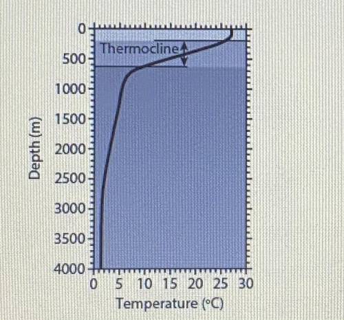 Use the graph to describe the effect on temperature as depth increases.

a. As depth increases, te