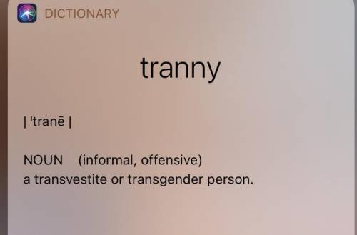 Don't call a trans person such as myself a trannyhere is the defnition