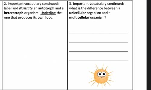 Important vocabulary continued: label and illustrate an autotroph and a heterotroph organism. Under