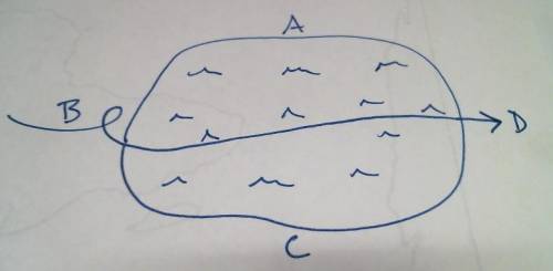 Which coastline should have the largest waves? The arrow represents wind direction.

A.
B.
C.
D.