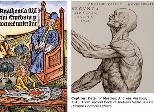 How is the drawing from Vesalius’s book similar to
and different from the medieval woodcut?