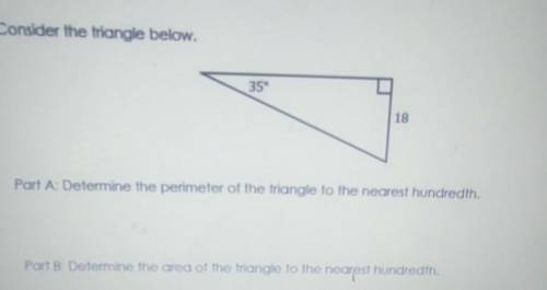 Please help me if you can I'm kinda struggling