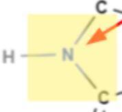 How many lone pairs of electrons should the nitrogen have?