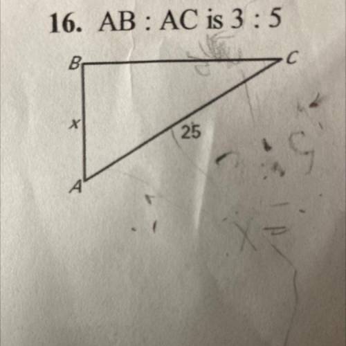 Help ASAP The ratio of two side lengths for the triangle is given.Solve the variable