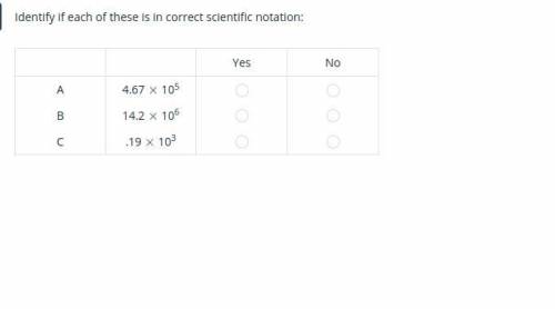Is the scientific notation correct or no. please answer this is important