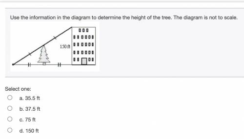 Use the information in the diagram to determine the height of the tree. The diagram is not to scale