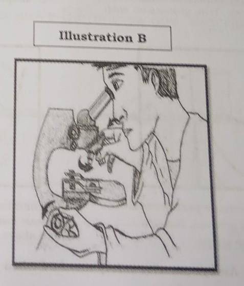 learning task 2.the following is patient consent several steps in using a compound microscope.write