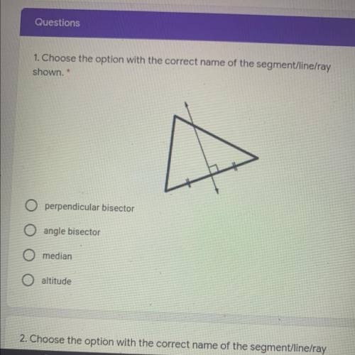 Choose the option with the correct name of segment/line/ray shown.

a. perpendicular bisector
b. a