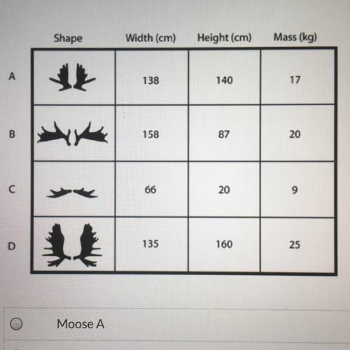 Illustrations of four antlers from four specimens in a population of moose, along with other data,