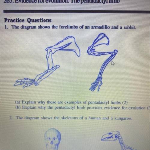 (a) Explain why these are examples of pentadactyl limbs (2)

(b) Explain why the pentadactyl limb