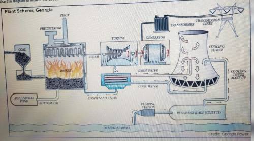 Based on the diagram put the following steps for energy production in order