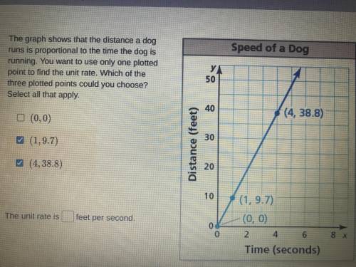 PLEASE ANSWER!! The graph shows that the distance a dog runs is proportional to the time the dog is