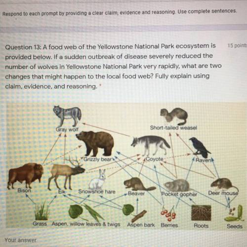 ILL MARK BRAINLEST

Question 13: A food web of the Yellowstone National Park ecosystem is
provided
