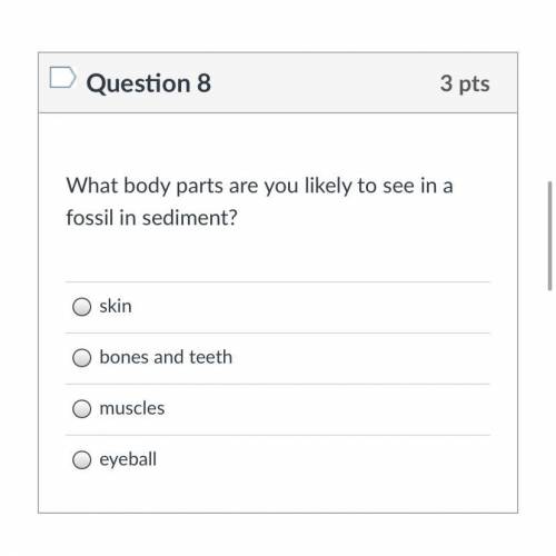 What body parts are you likely to see in a fossil in sediment?

Group of answer choices
skin
bones