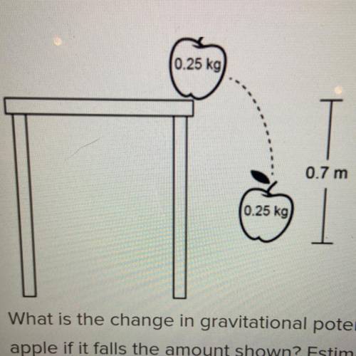 What is the change in gravitational potential energy of the apple if it falls the amount shown? Est