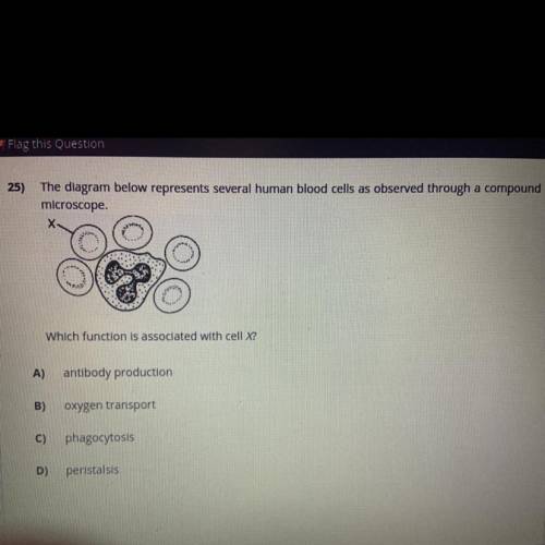 Please help!! I need an answer to this question from a test