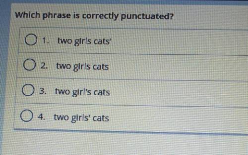 Which phrase is correctly punctuated? 1. two girls cats 2. two girls cats 3. two girl's cats 4. two