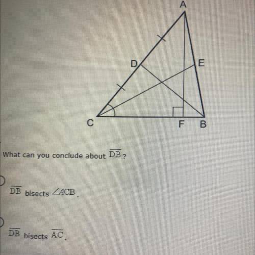 What can you conclude about DB?